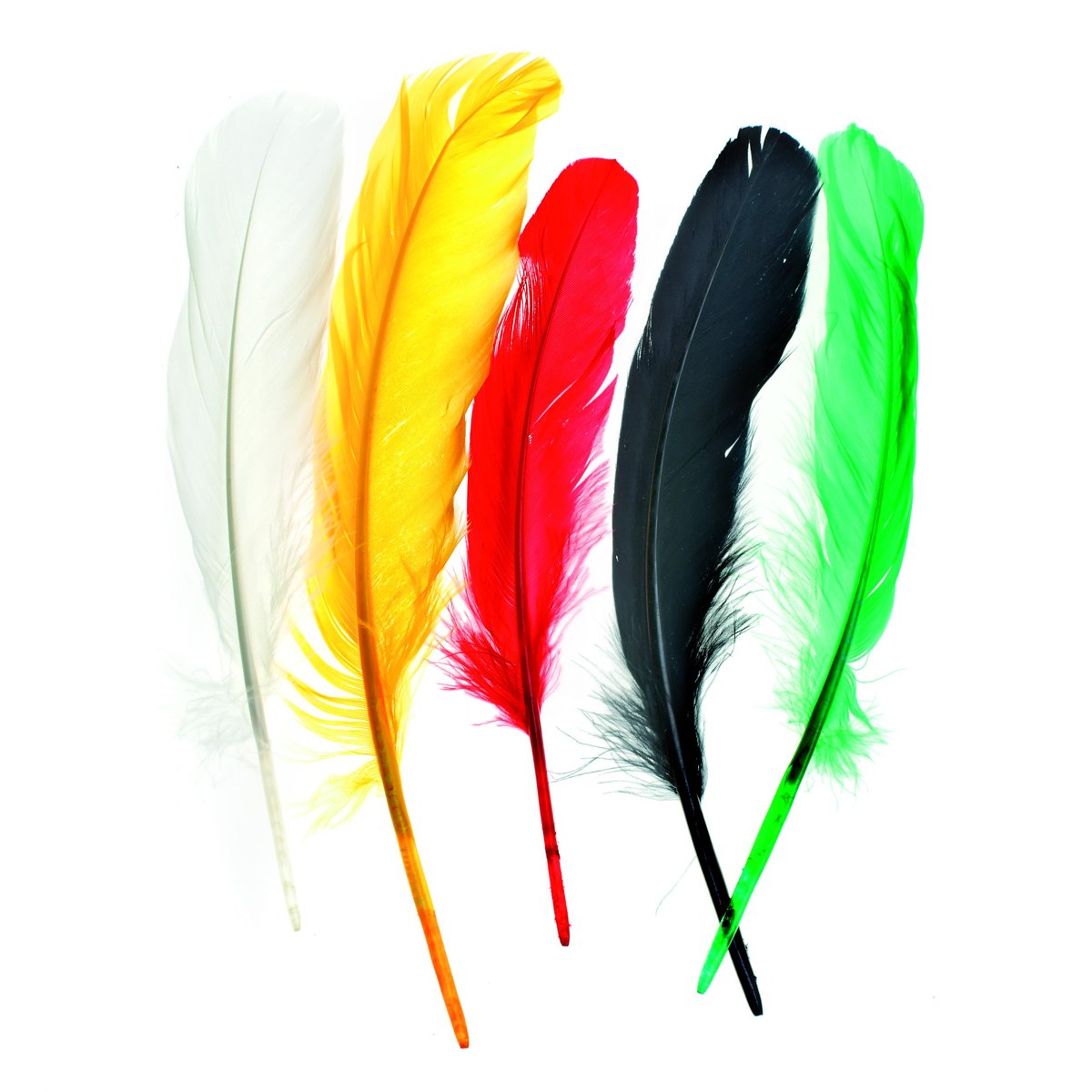 Indian feathers ca.16cm